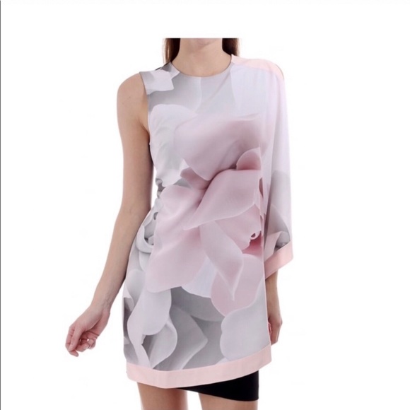 Ted Baker Lizeey Porcelain Rose Print Layered Jersey Sheath Dress Size 4 - Picture 5 of 6